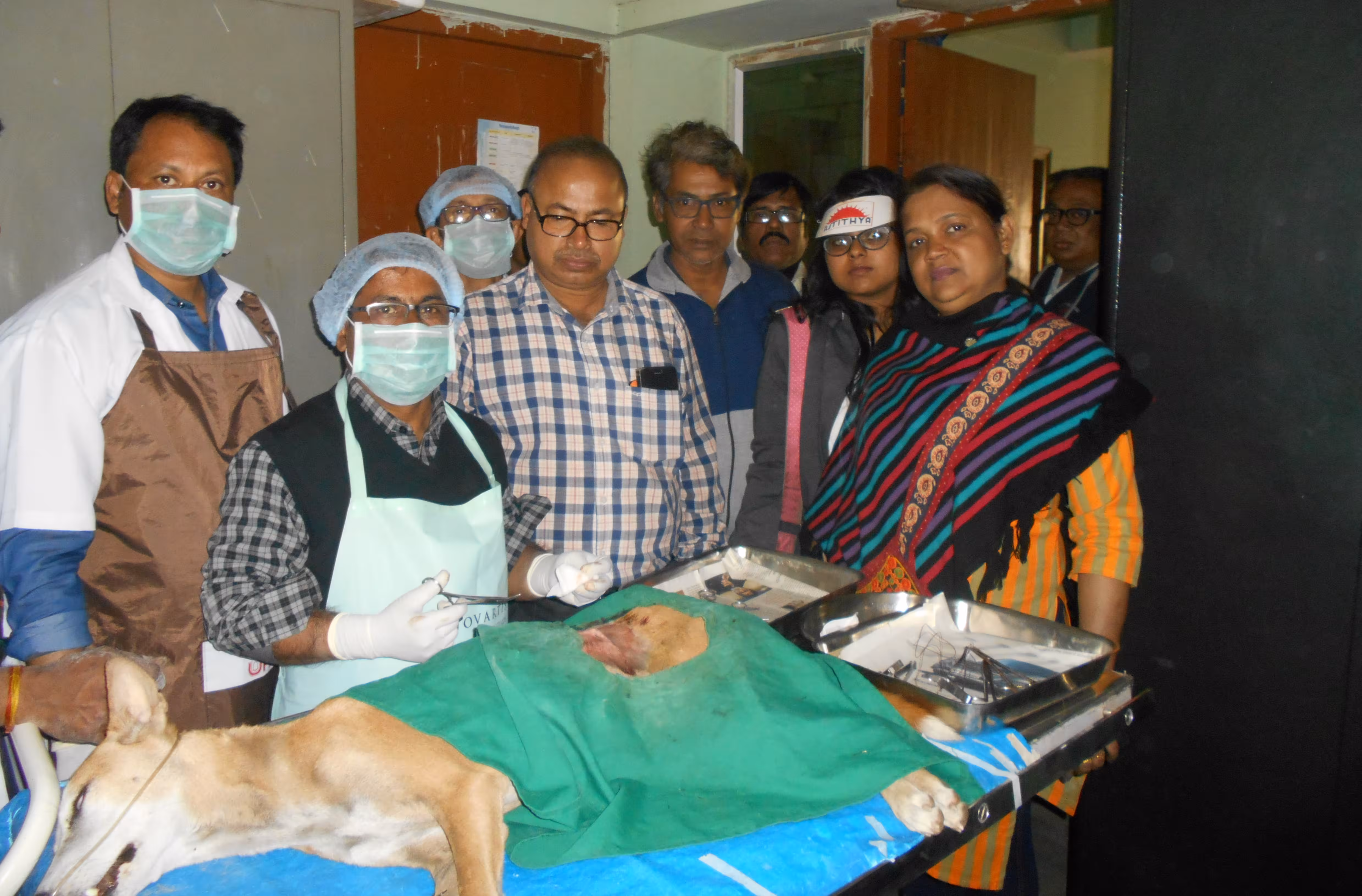 Research & Documentation